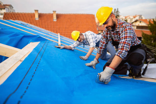 Professional Roofing Contractor in Sharpes, FL